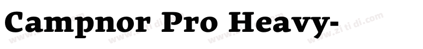 Camphor Pro Heavy字体转换